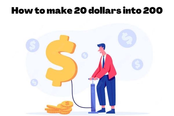 make 20 dollars into 200